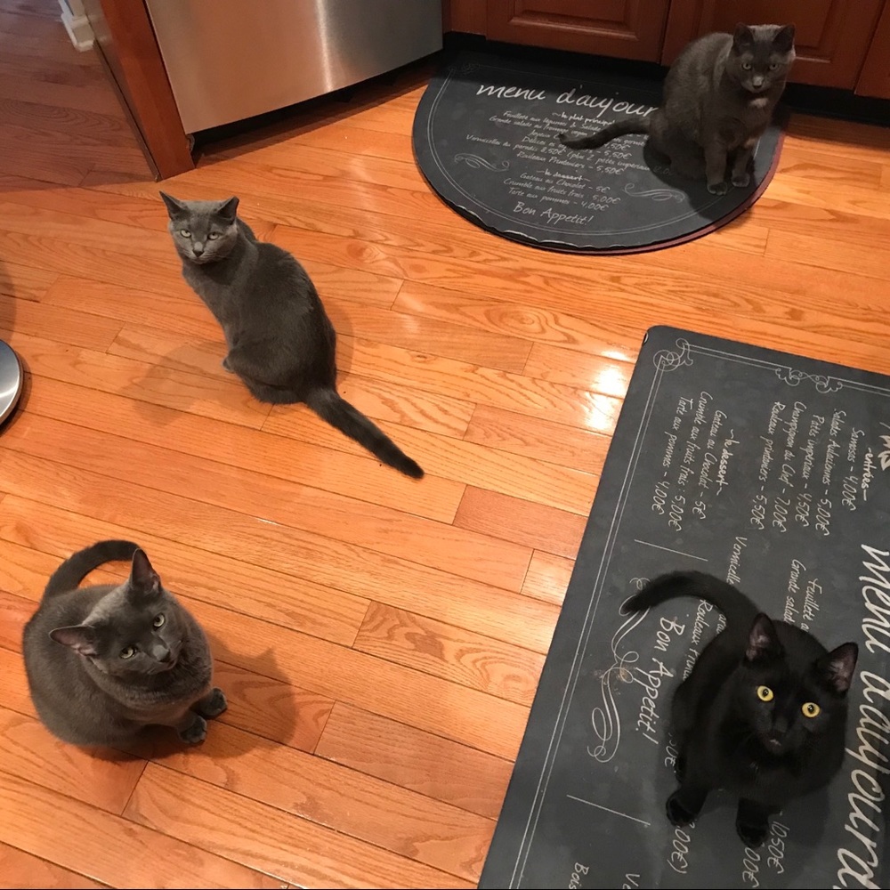 Shop our mom's closet! 😻😻😻